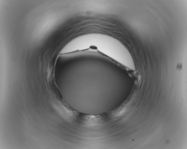 X0000093110239200710241248