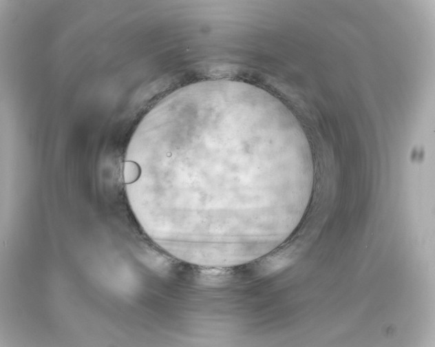 X0000093110240200710241248