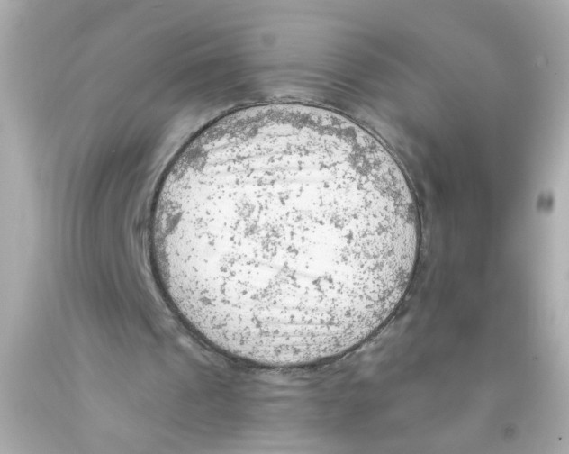 X0000093110241200710241248