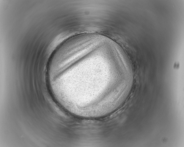 X0000093110242200710241248