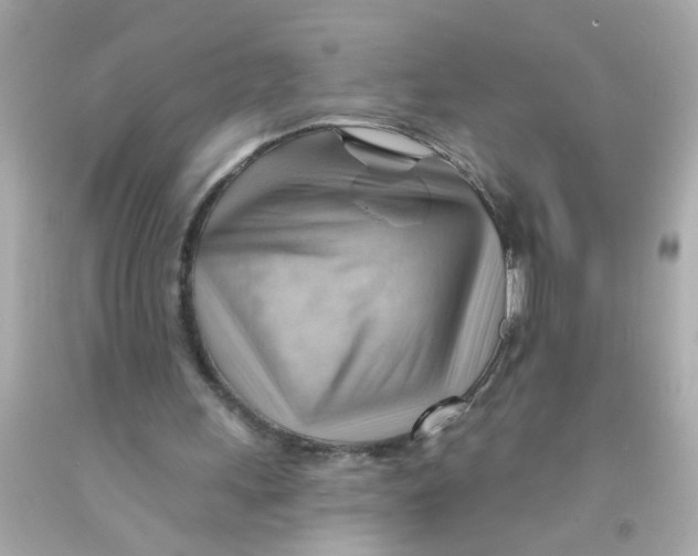 X0000093110243200710241248