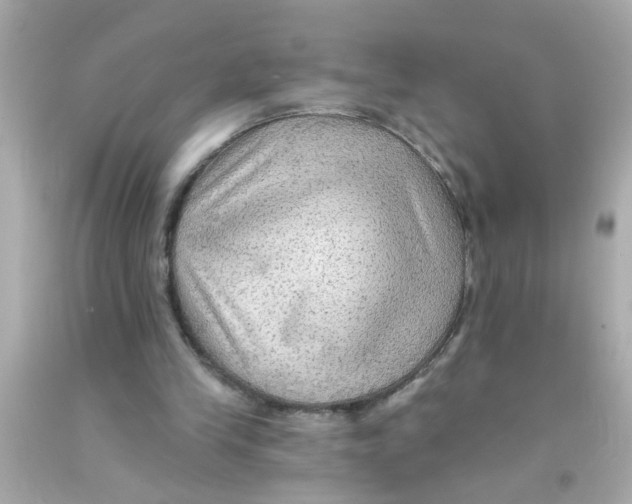 X0000093110245200710241248