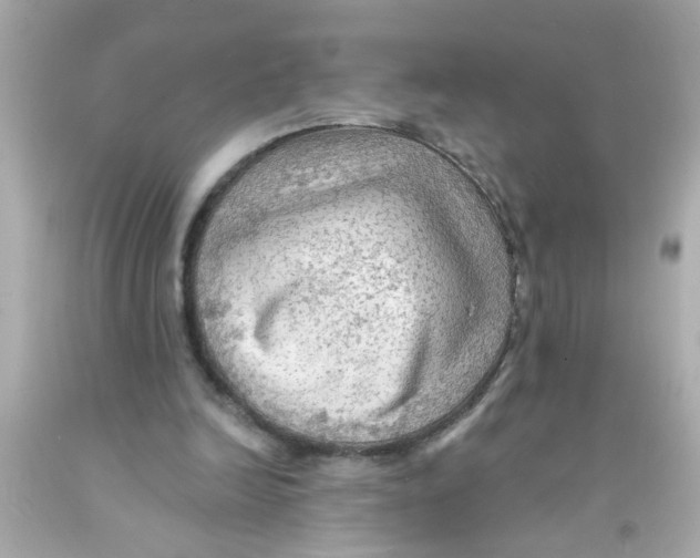 X0000093110246200710241248