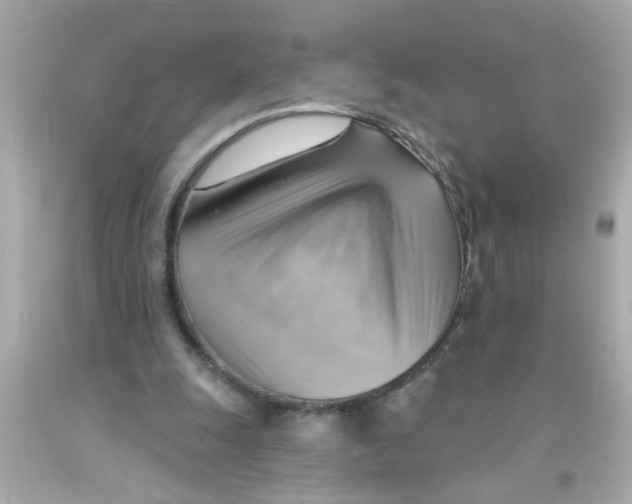 X0000093110247200710241248