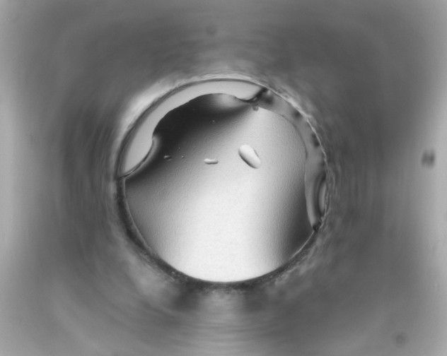 X0000093110248200710241248