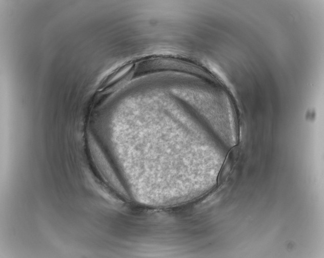 X0000093110249200710241248