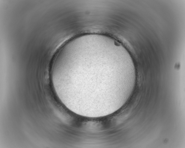 X0000093110251200710241248