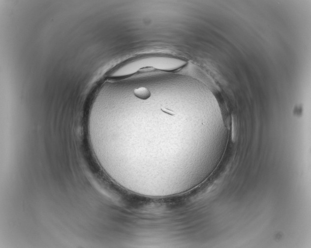 X0000093110252200710241248