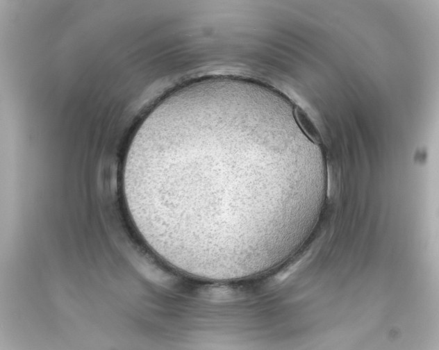 X0000093110253200710241248