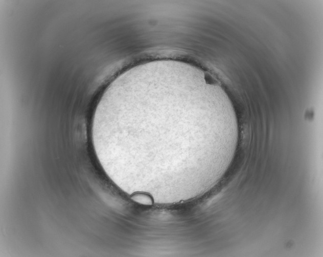 X0000093110254200710241248