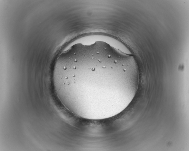 X0000093110256200710241248