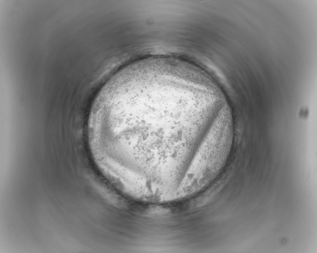 X0000093110257200710241248