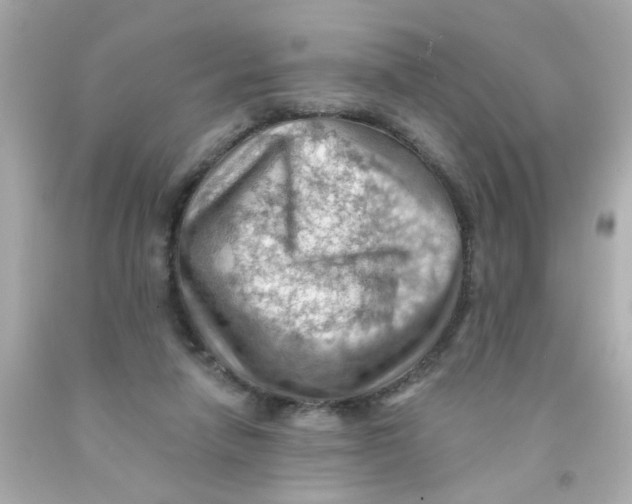 X0000093110258200710241248