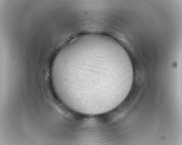 X0000093110259200710241248