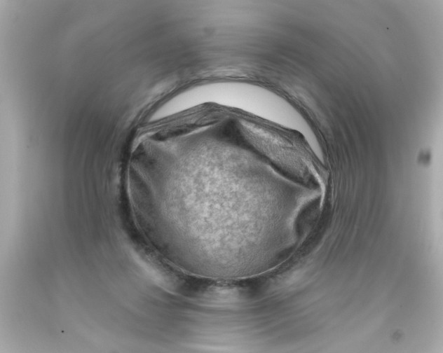 X0000093110260200710241248