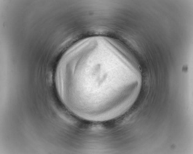 X0000093110262200710241248