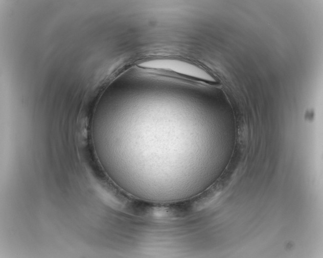 X0000093110264200710241248