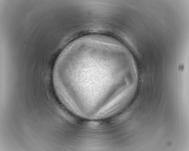 X0000093110265200710241248