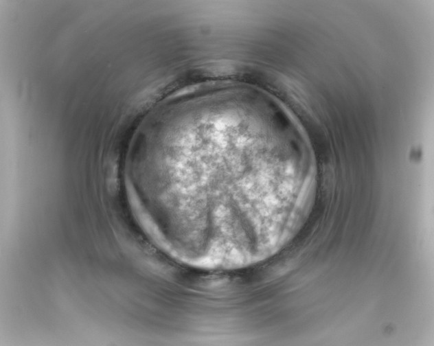 X0000093110267200710241248