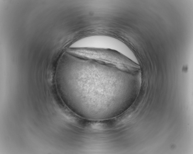 X0000093110268200710241248