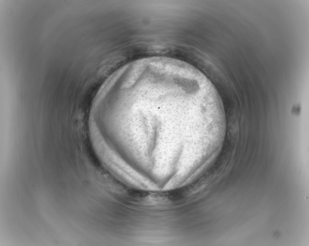 X0000093110270200710241248