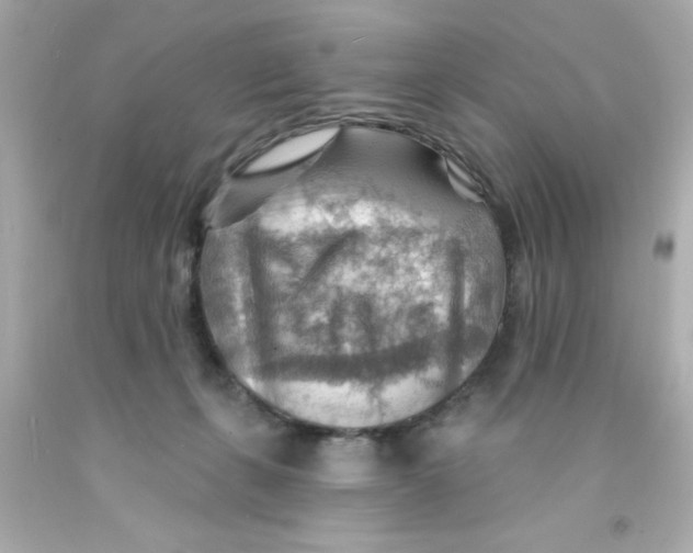 X0000093110271200710241248