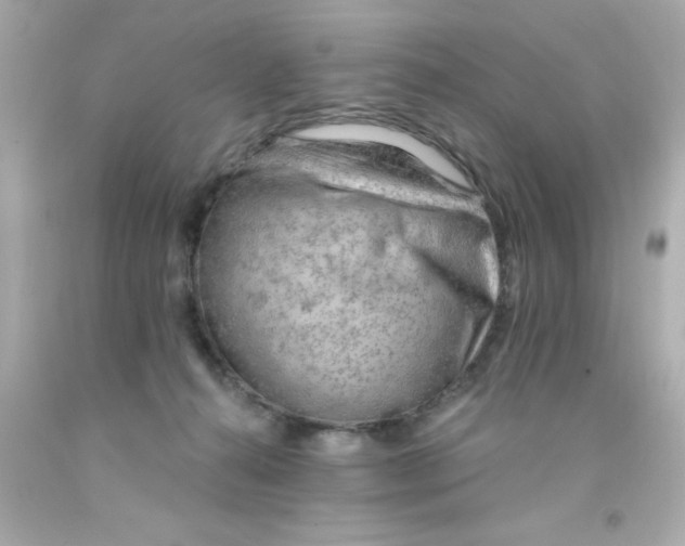 X0000093110272200710241248