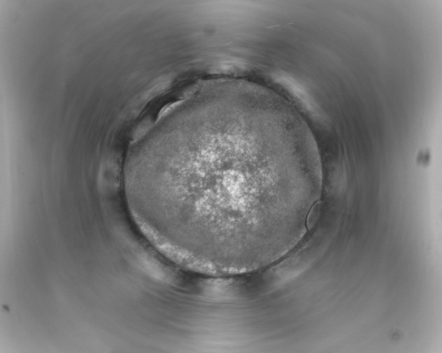 X0000093110273200710241248