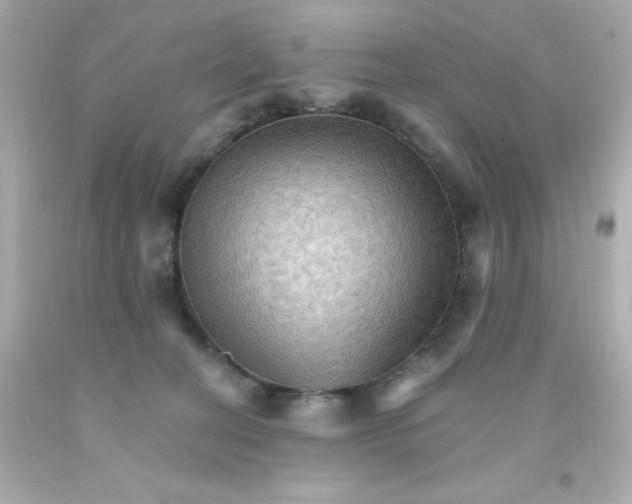 X0000093110274200710241248