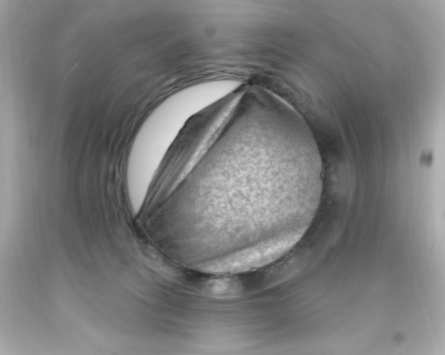 X0000093110275200710241248