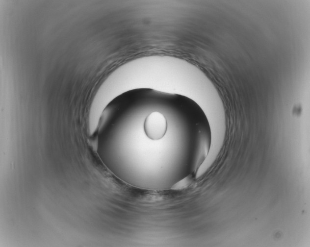 X0000093110276200710241248