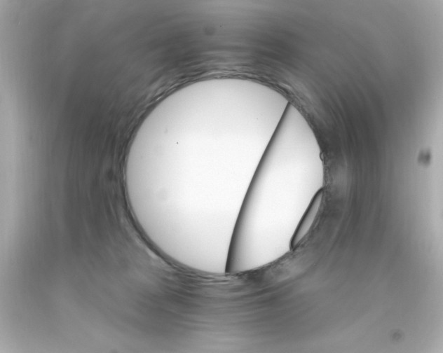 X0000093110277200710241248