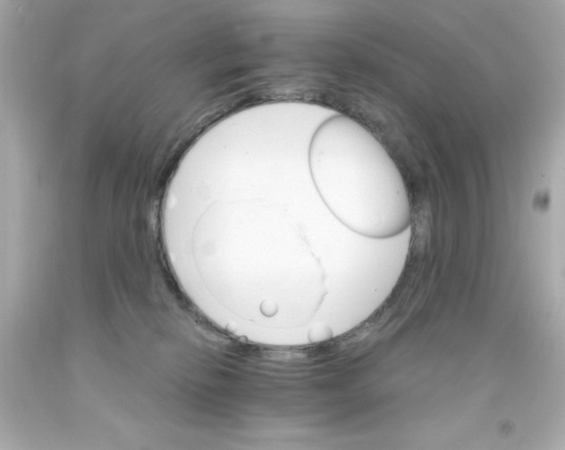 X0000093110278200710241248