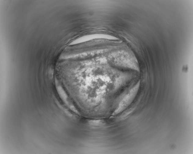 X0000093110281200710241248