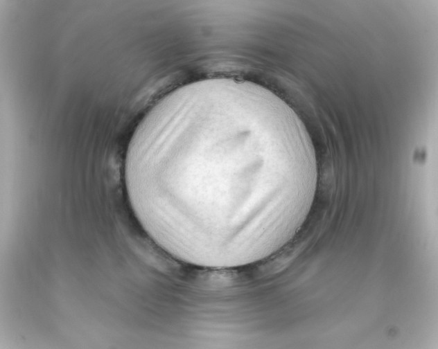 X0000093110282200710241248