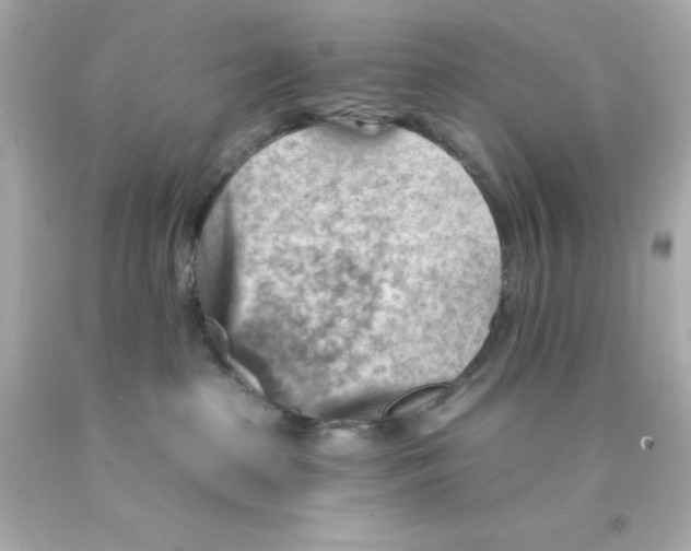 X0000093110285200710241248