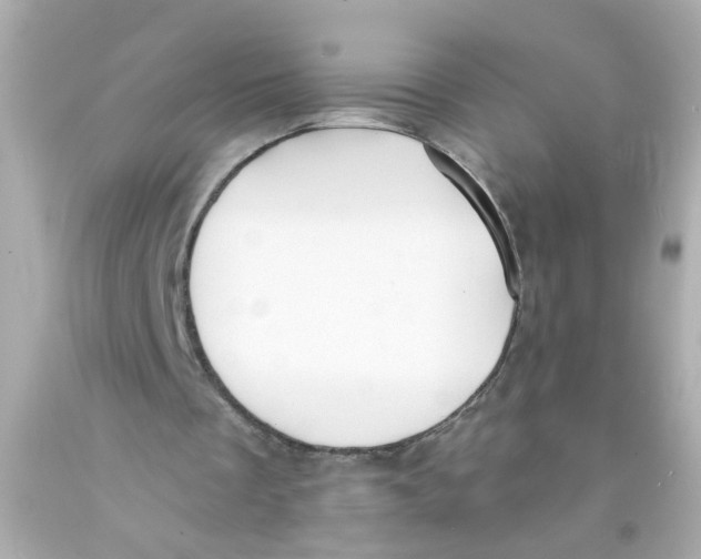 X0000093110289200710241248