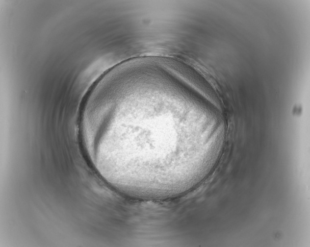 X0000093110290200710241248