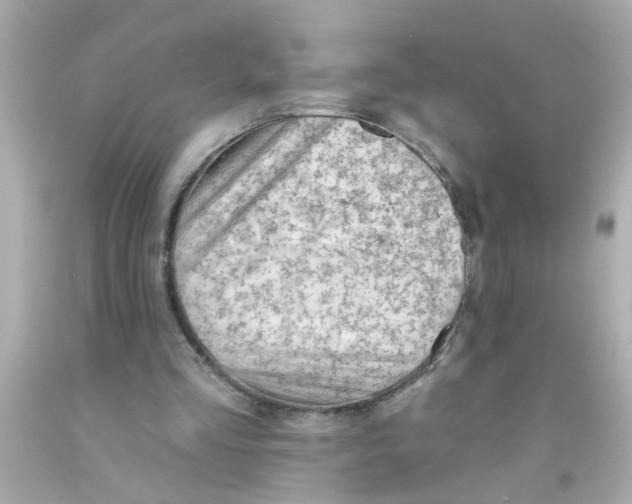 X0000093110293200710241248