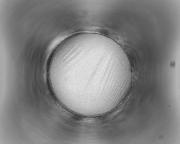 X0000093110294200710241248