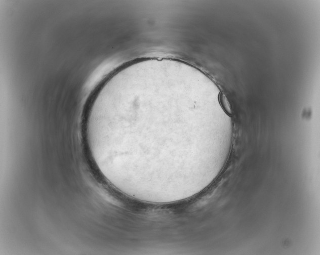 X0000093110296200710241248