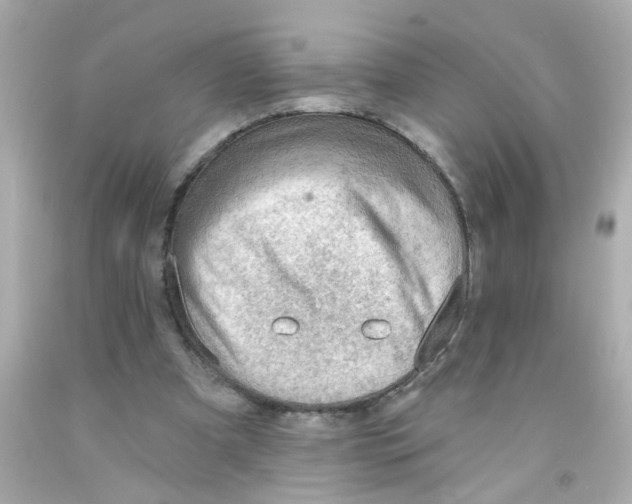 X0000093110297200710241248