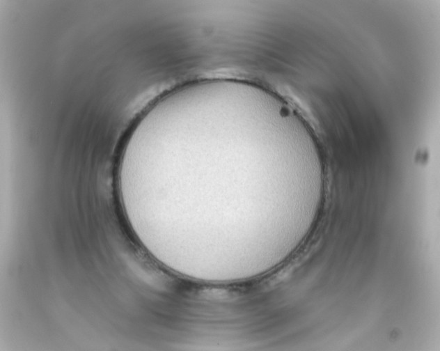 X0000093110298200710241248