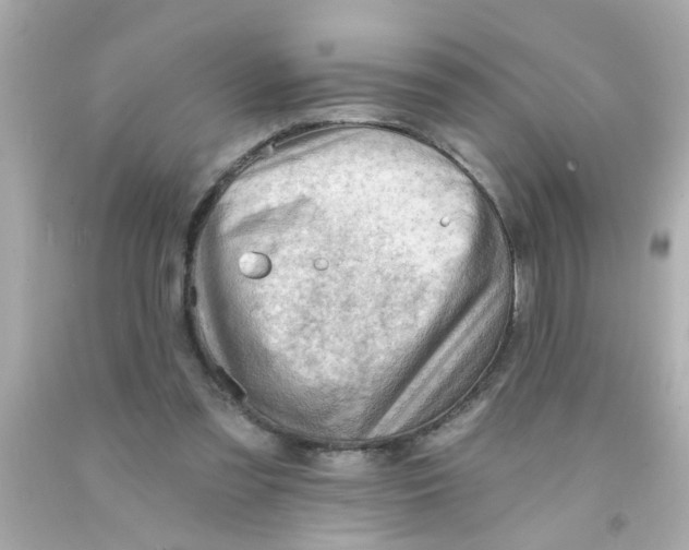 X0000093110301200710241248