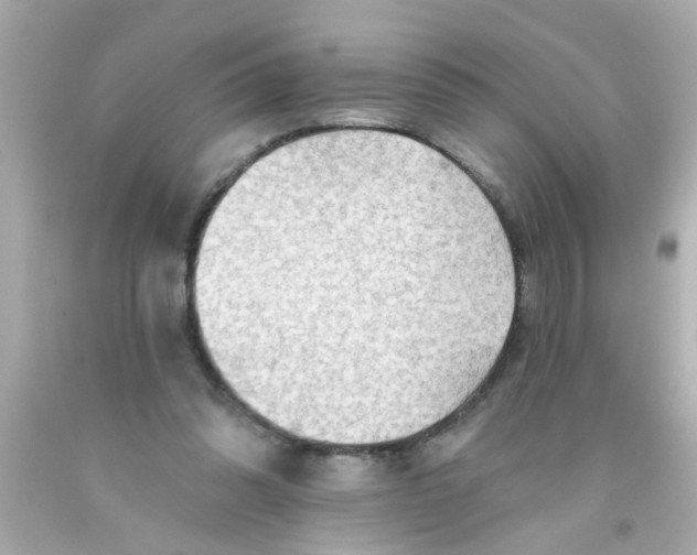 X0000093110302200710241248