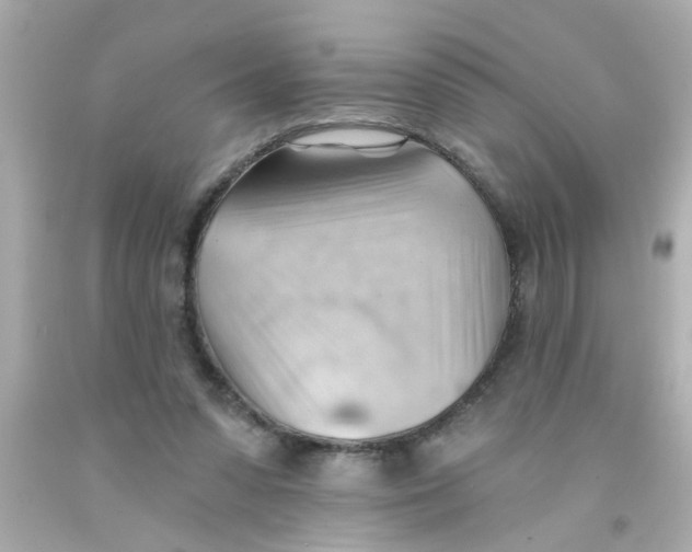 X0000093110303200710241248