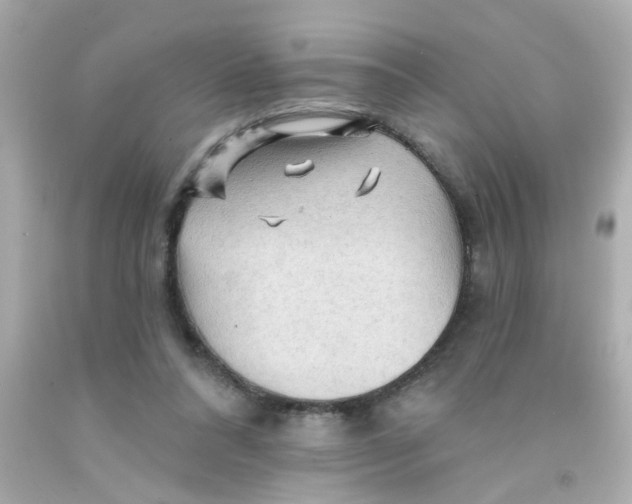 X0000093110304200710241248