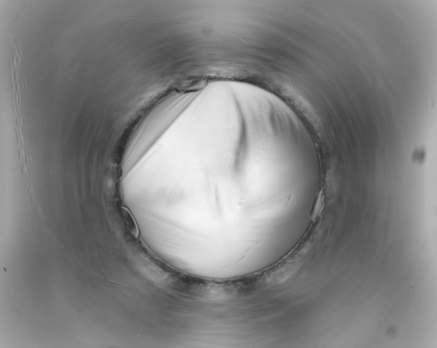 X0000093110305200710241248