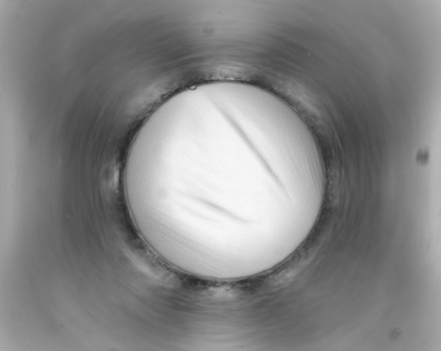 X0000093110310200710241247