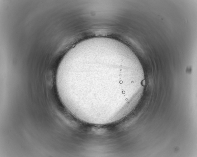 X0000093110311200710241247